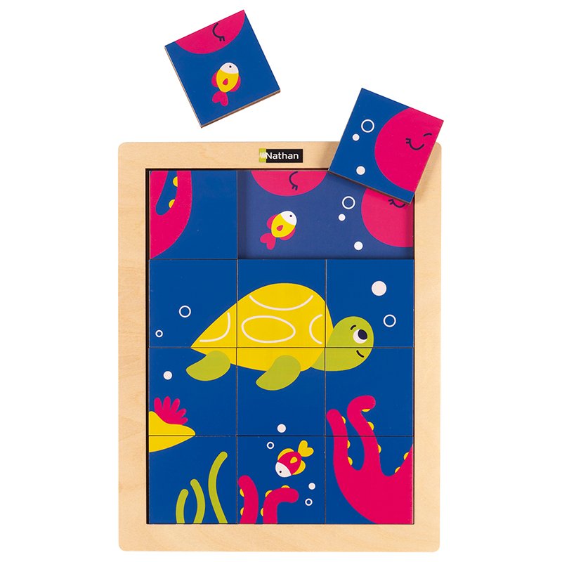 La tortue et la pieuvre